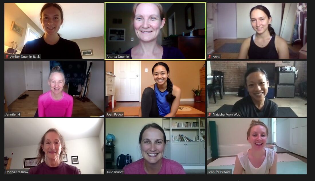 A picture of 9 women on Zoom